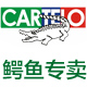 cartelo致信专卖店