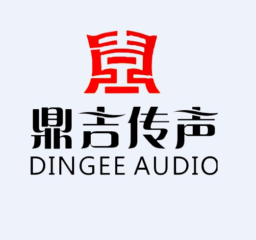 鼎吉传声乐器专营店