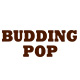 buddingpop旗舰店