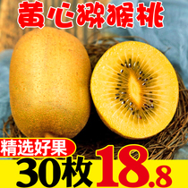 Sichuan Pu Jiang Yellow Heart Chic Exotic Fruits Fresh Fruit When Season Chiecchio Zhengzong Deserves Monsoons Monkey Peach Whole Box