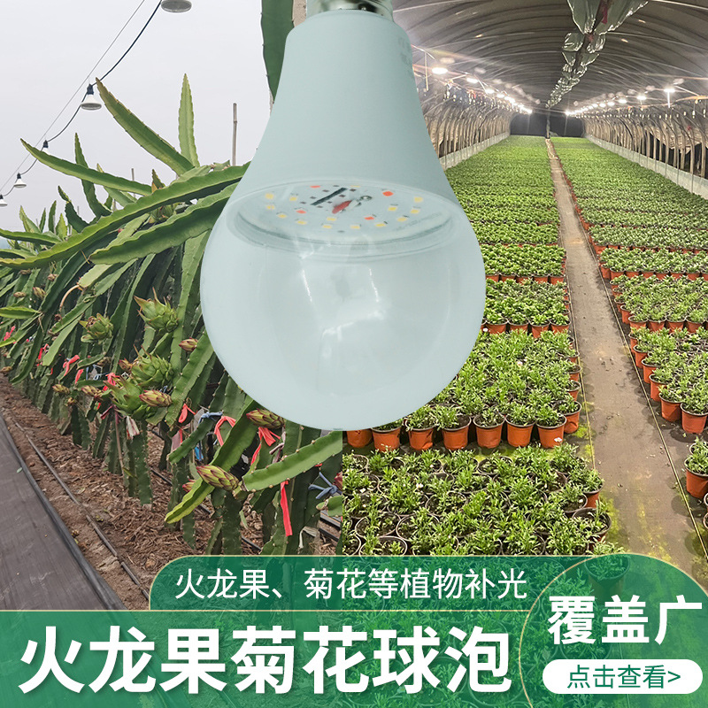 植物生长灯泡LED9w912w15w火龙果菊花补光植物生长灯球泡灯全光谱