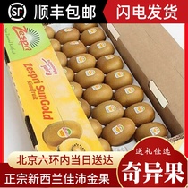 New Zealands Jiapi Exotic Fruits 27 Imports Zespri Gold Fruit Yellow Heart Exotic Fruits Fresh Fruit Gift Boxes Whole Boxes