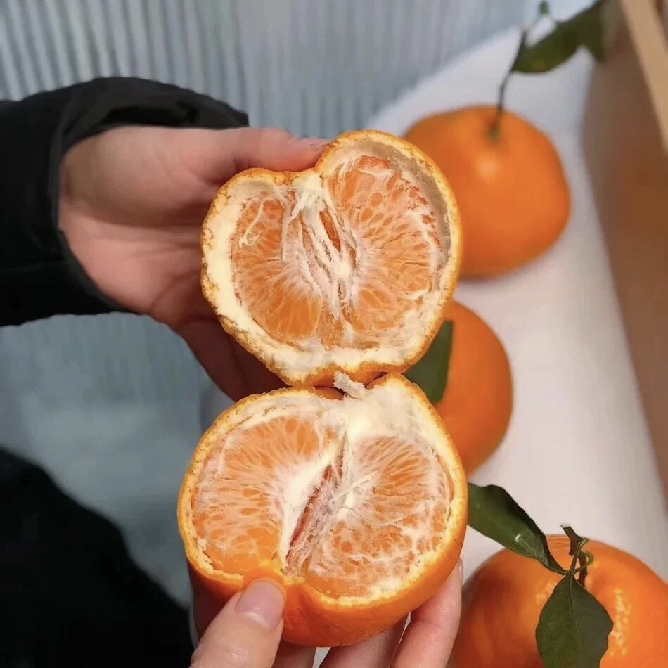 【春见耙耙柑】四川眉山春见耙耙柑桔子新鲜水果橘子丹棱,淘宝优惠券,粉丝福利购,淘宝优惠卷