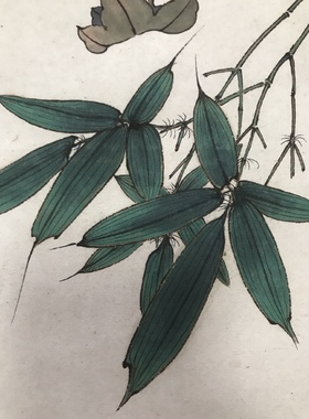 宣纸艺术风寓意好工笔花鸟画