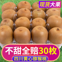 Sichuan Yellow Heart Exotic Fruits Fresh Should Season Pregnant Women Fruit Whole Boxes Big Fruit Chic Exotic Fruits Golden Fruits