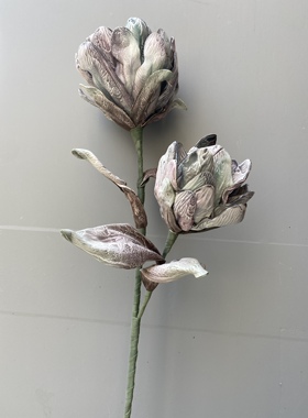 家居装饰仿真花假花个性时尚现代简约风EVA材质单支落地帝王花