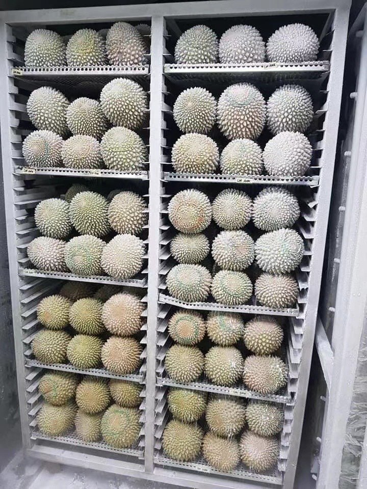 高山猫推荐品牌 新人首单立减十元 21年6月 淘宝海外