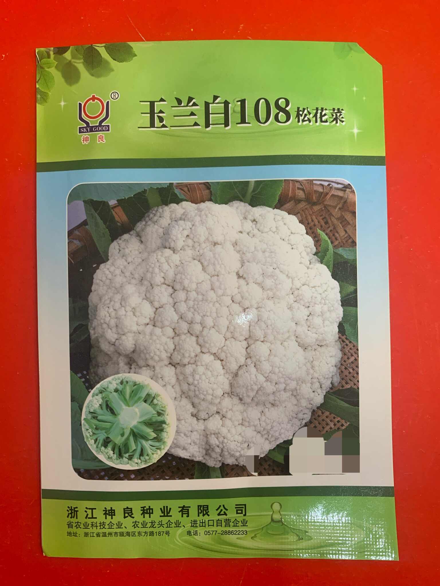 松花菜 新人首单立减十元 21年9月 淘宝海外