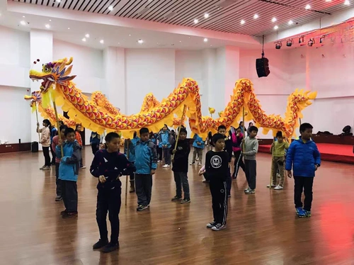 Детский драконский дракон на начальной школе Dragon Dance 7-14-летний качество дракона-хорошее качество