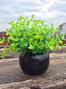 ZAKKA美式简约绿植桌面