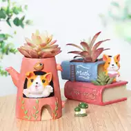 動物多肉植物花盆花器 新人首單立減十元 21年8月 淘寶海外
