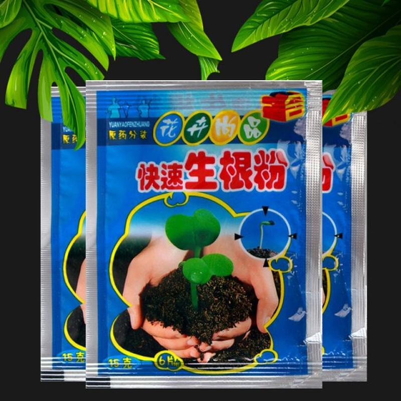 10Pcs Fast Rooting Powder Extra Fast Abt Root Plant Flower T-图3