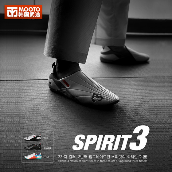 Dolang's high-looking Korean 3rd generation Taekwondo shoes