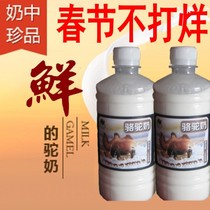 2 catty camel milk Xinjiang Kazakhs camel camel fresh milk camel milk pure milk Shunfeng airlift fresh pasture direct