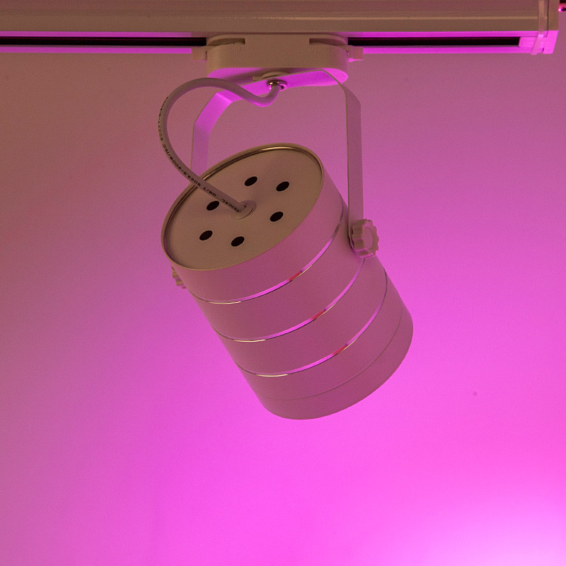 植物墙led射灯生长灯室内多肉绿植轨道照明灯补光灯仿太阳全光谱,淘宝优惠券,粉丝福利购,淘宝优惠卷