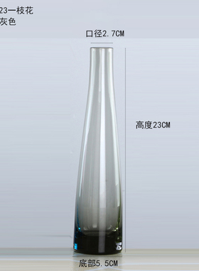 简约小清新玻璃透明玫瑰桌面花瓶