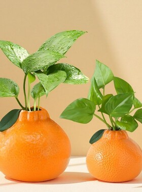 创意橘子水养绿萝水培花盆客厅桌面办公桌装饰品摆件花瓶架绑枝机