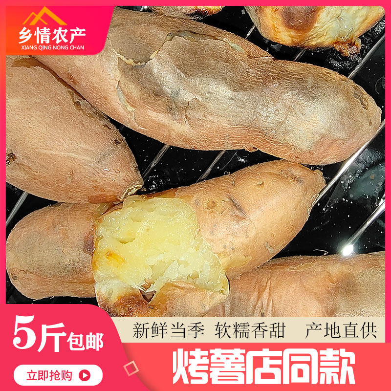 榆林香蕉薯榆林黄皮黄心白心红薯绥德当季大果富硒新鲜掏菜菜5斤