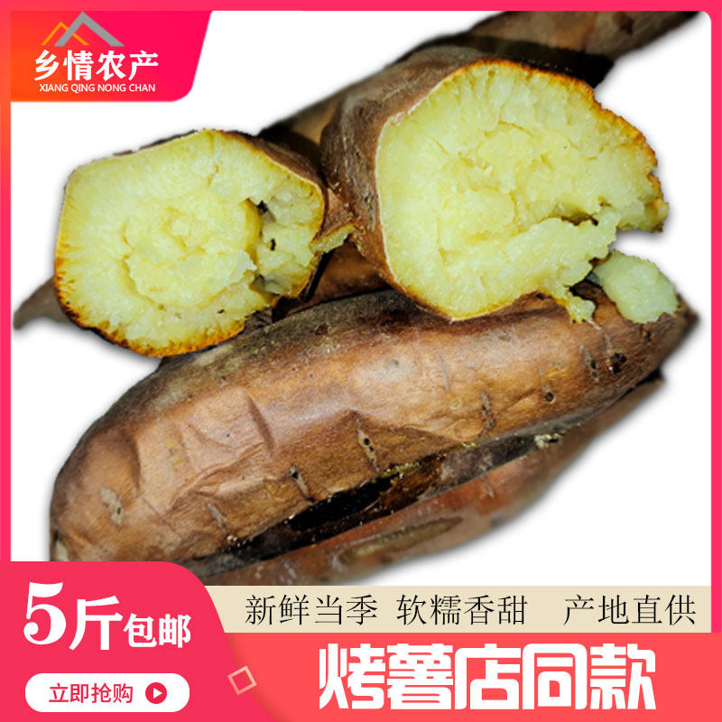 榆林香蕉薯榆林黄皮黄心白心红薯绥德当季大果富硒新鲜掏菜菜5斤