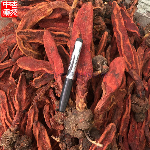 500g中草药云南回春草中药材草苁蓉顶天柱不老草男性泡酒料 - 图1