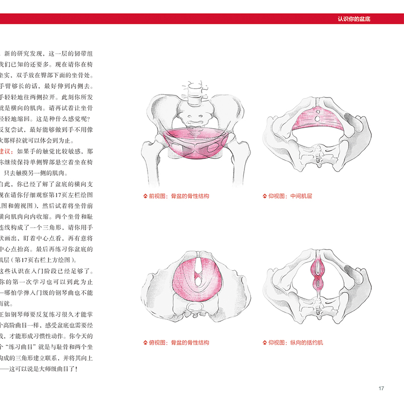 正版包邮 盆底功能12周康复方案 盆底训练方法 修复方案戴从言李哲女性盆底肌 骨盆骨骼肌肉解剖康复运动调节保养指南女性健康书籍 - 图0