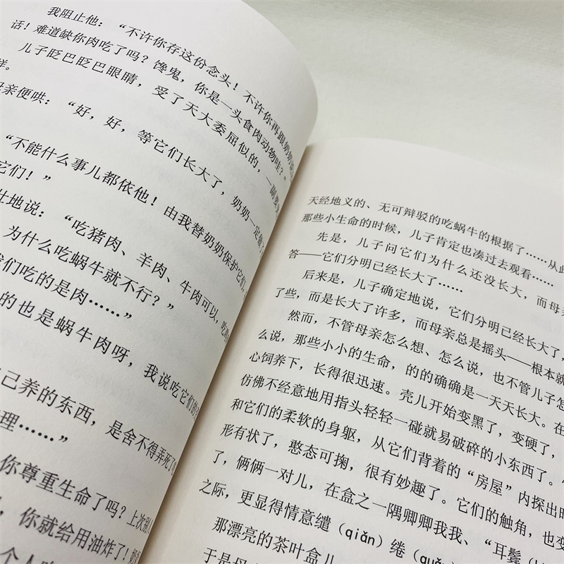 慈母情深 梁晓声著 五年级上册语文教材书课文作家作品系列 必小学生课外同步拓展推荐阅读书经典儿童文学正版书籍人民教育出版社 - 图3