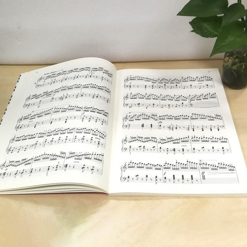 车尔尼钢琴快速练习曲作品299 大符头 正版保证红皮书 初级入门教学用书 钢琴入门练习教材 钢琴基础教程琴童音乐知识 车尔尼299 - 图2
