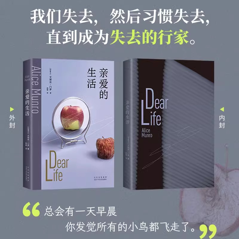 亲爱的生活 2025版 艾丽丝·门罗封笔之作 收录4篇自传故事 揭开复杂门罗的隐秘胎记 14个告别故事写出生活的庸常与残酷 正版书籍 - 图1