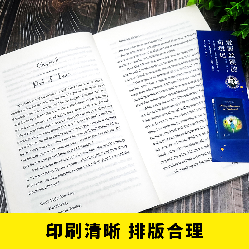 【新华文轩】爱丽丝漫游奇境记(附词汇注解)(英文版)[英]路易斯·卡罗尔正版书籍新华书店旗舰店文轩官网海豚出版社-图3