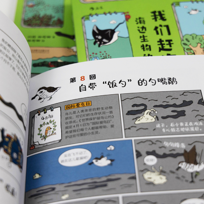 我们赶海去：海边生物的节日 海边生物的四季生活漫画科普博物君无穷小亮黄一峯开水族馆的生物男三蝶纪推荐正版书籍 - 图1