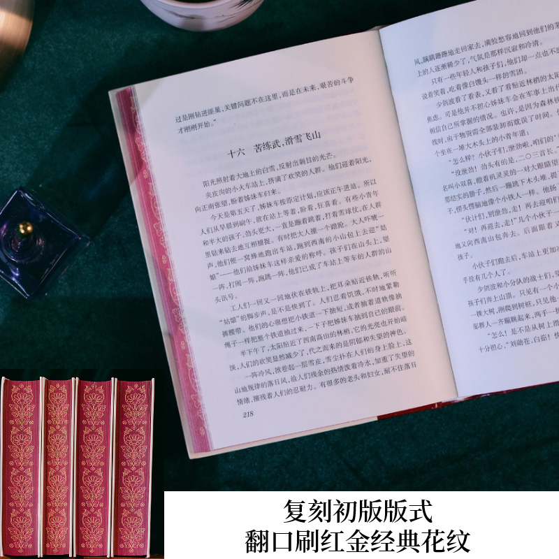 【刷边珍藏版】青春之歌+山乡巨变+保卫延安+林海雪原共4册当代文学红色经典“青山保林”初版经典复刻版人民文学出版社正版-图3