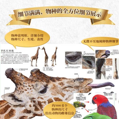 【2025新版】DK博物大百科点读版全书中文修订正版dk儿童动物恐龙植物生物太空人体幼儿认知宇宙大百科全书6-7-10岁学生可怕的科学 - 图2