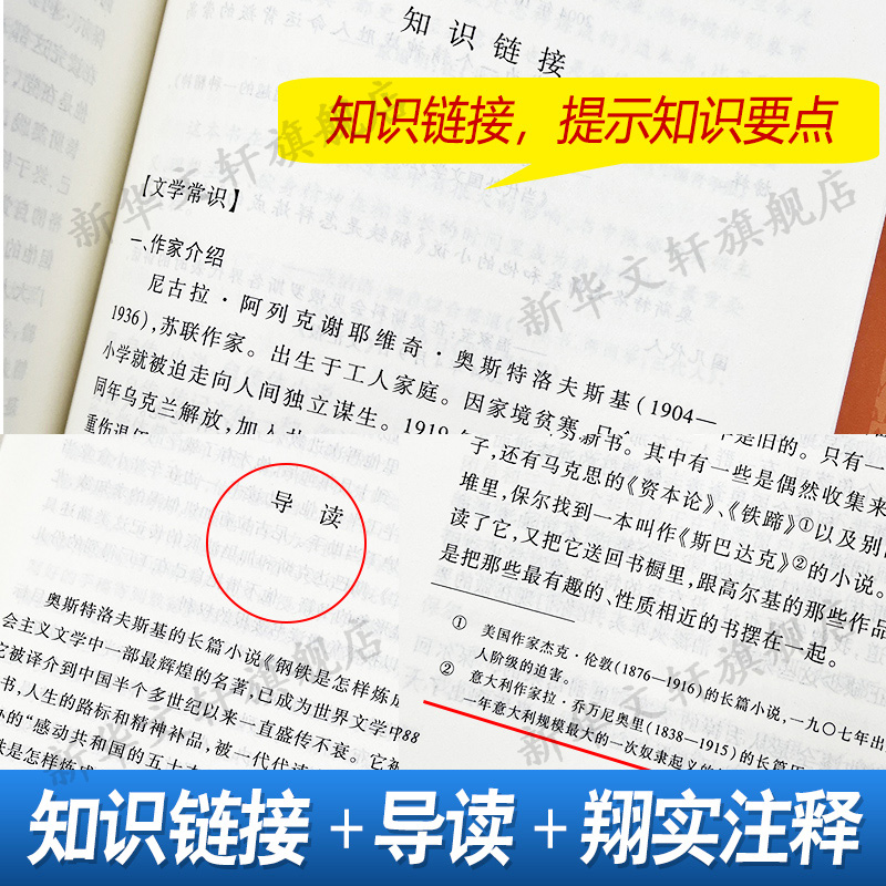 钢铁是怎样练成的 奥斯特洛夫斯基七八九年级初高中寒暑假课外推荐阅读书目中外经典小说故事世界名著无删减畅人民文学出版社 - 图3