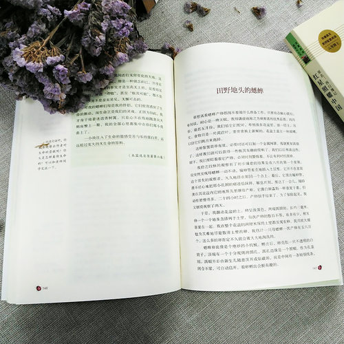 人教版 红星照耀中国和红岩 昆虫记原著正版法布尔八年级上册阅读人民教育出版社全套完整无删减初中学生8课外必阅读红色经典书籍 - 图1