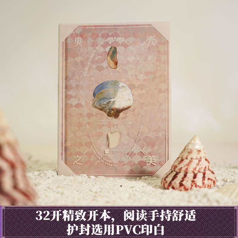 【新华文轩】贝壳之美 正版书籍 新华书店旗舰店文轩官网 江苏凤凰文艺出版社 - 图1