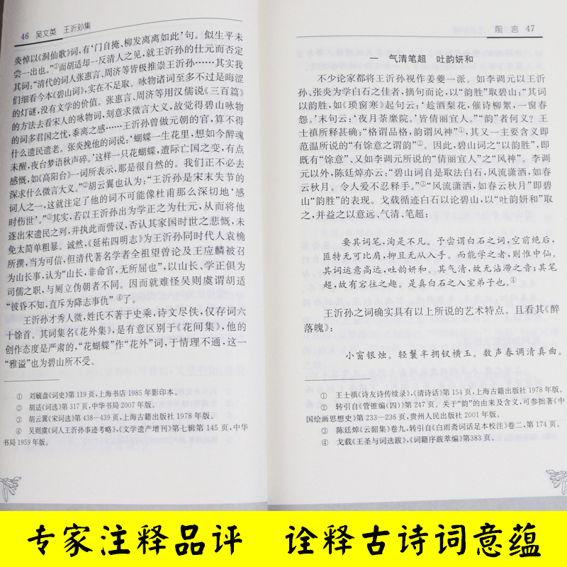 吴文英王沂孙集(历代名家精选集) 中华古代诗词 原文注释鉴赏 中国古典文学书籍 文史哲普及读物 凤凰出版社 - 图0