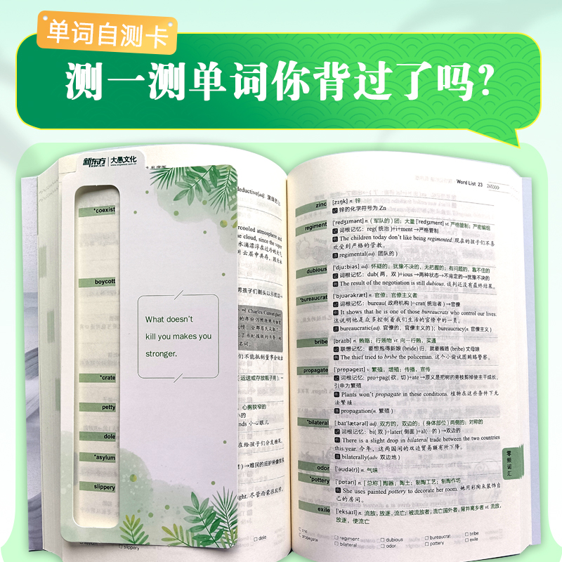 备考2024年6月 新东方英语六级词汇书词汇词根+联想记忆法英语六级英语四六级cet6考试六级真题词汇可搭大学英语六级真题试卷 - 图2