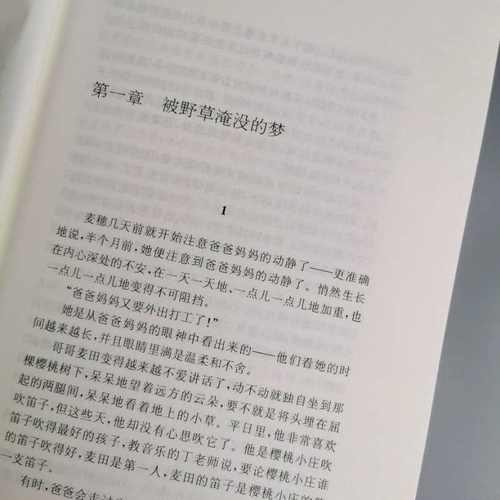 曹文轩系列全套14册樱桃小庄曹文轩系列儿童文学全套青铜葵花正版曹文轩四年级下册草房子纯美小说四五六年级小学生课外阅读书籍-图2