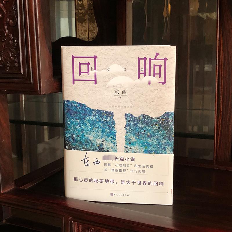 【茅盾文学奖】回响东西长篇力作 2021中国好书心灵现实情感推理侦破推理小说模式中国现当代文学经典电视剧回响原著正版畅销书籍-图0