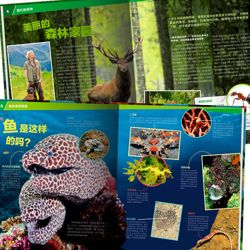 什么是什么德国少年儿童百科全书全套68册珍藏版第一二三四五六辑知识书6-7-12-14岁少儿科普读物中小学生课外书 was ist was 正版 - 图2