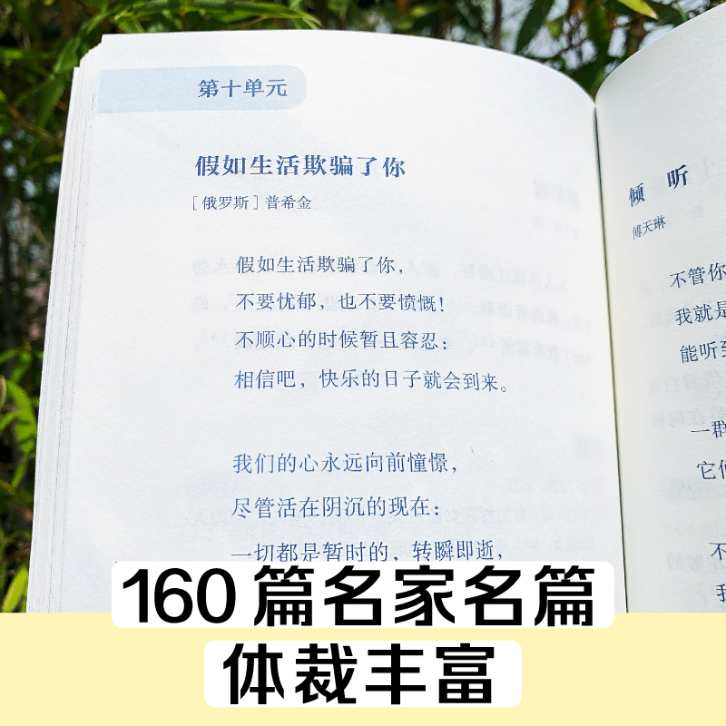 日有所诵五年级上册下册 亲近母语 第六版 5年级薛瑞萍主编 小学生5年级语文教材配套课外阅读 非注音课外阅读 新华文轩旗舰店 - 图2