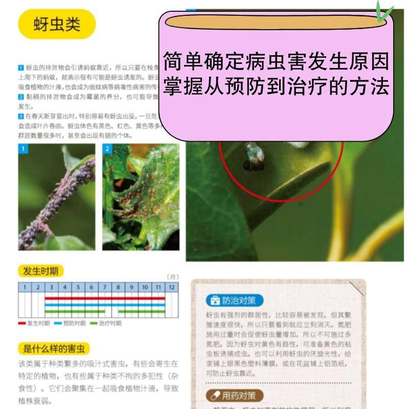 官网正版 植物病虫害防治全图鉴 高桥孝文 培育蔬菜 果树 花木 饮食 环境 园艺种植 植保技术 处理方式 日常管理对策 - 图3