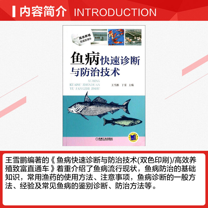 鱼病快速诊断与防治技术 养殖书籍养鱼书籍 鱼病治疗养鱼教程 养殖从入门到精通 养殖教程教材全集 双色印刷【新华书店官方正版】 - 图1