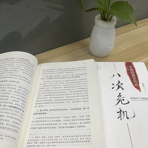 【温铁军作品2册】八次危机+全球化与国家竞争温铁军著温铁军解读中国经济经济危机中国的真实经验经济理论书籍-图2