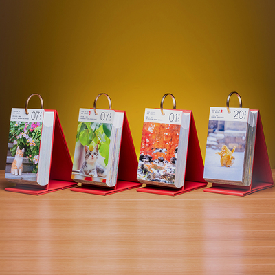 亲签随机】爱猫无忧 2026喵呜不停猫咪日历 2026年街猫日历 可撕活页猫咪摄影图集桌面台历 可爱猫咪写真萌宠日历 2026年日历新款