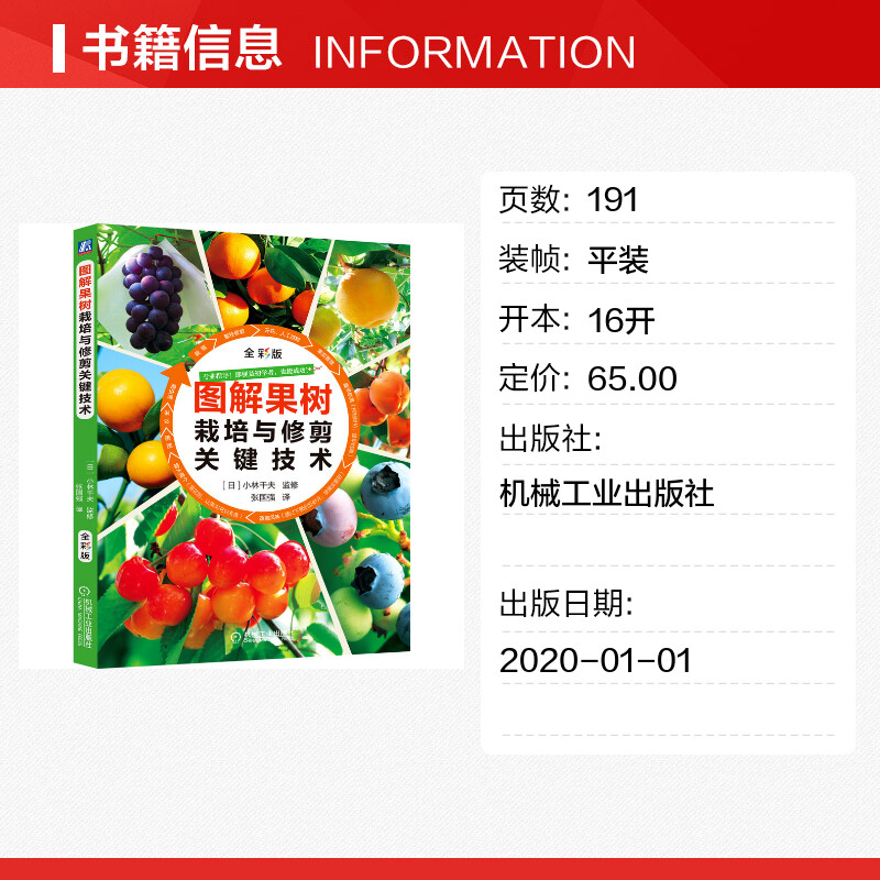 图解果树栽培与修剪关键技术 果树施肥浇水一体化技术书籍 果园柑橘葡萄苹果蓝莓樱桃梨树种植栽培技术书籍病虫害防治实用正版书籍 - 图0