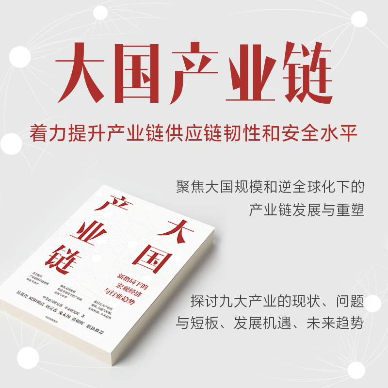 大国产业链 中金研究院 新形势下大国规模优势对于中国产业链发展的意义 半导体汽车等产业的形势与应对建议 中信出版社