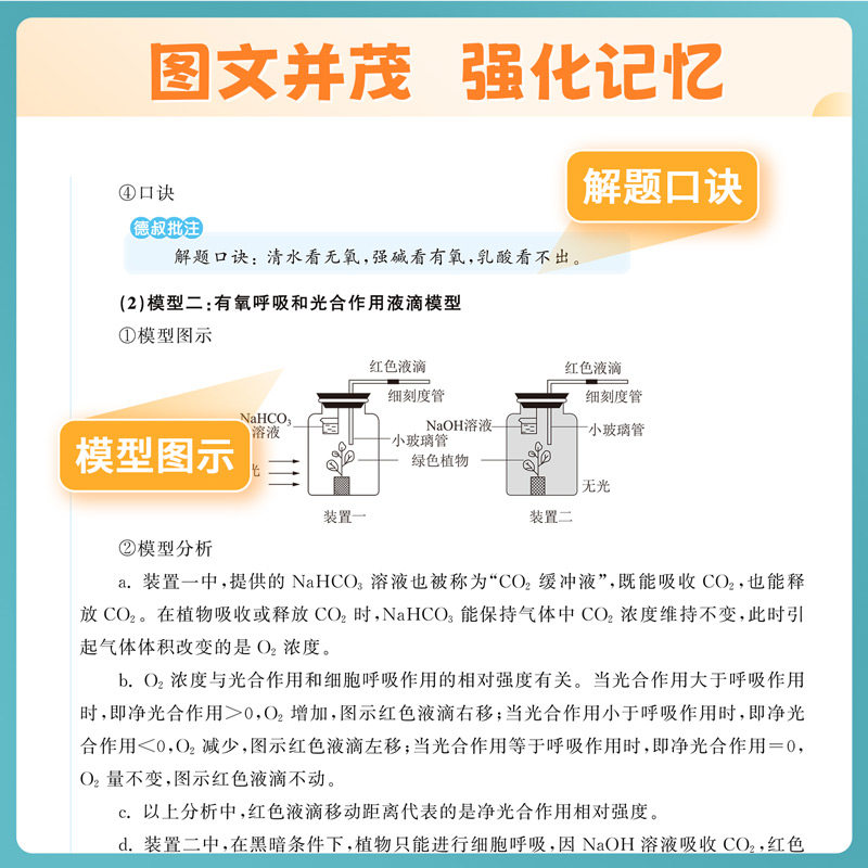 【顺丰包邮】2025李林生物笔记30天速记高中生物基础知识点德叔生物遗传学新教材全国版真题分类全刷1000高三教辅复习资料育甲高考