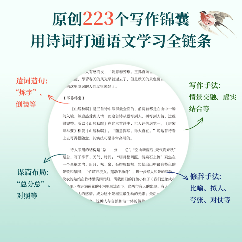 【全6册】诗词伴着语文飞 赠通关文牒大拉页视频课申怡贯穿中国上下五千年讲透314首古诗词原创223个写作锦囊打通语文学习全链条