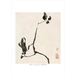 【新华文轩】八大山人花鸟画谱 正版书籍 新华书店旗舰店文轩官网 浙江人民美术出版社
